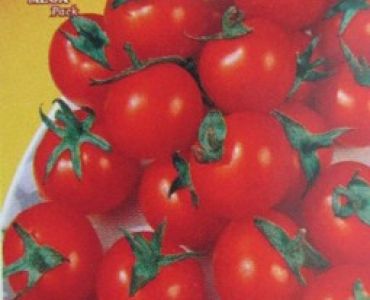 домати Ред Чери