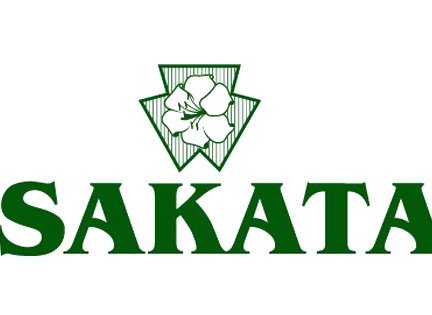 дини Файър Бол (Fireball)