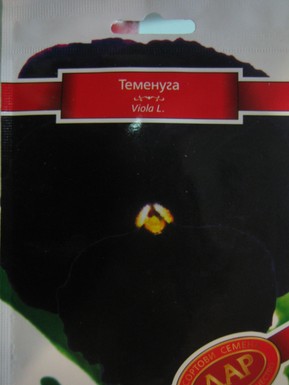 теменуга Тъмно кадифе