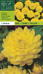 далия Yellow