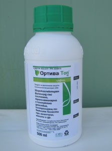 Ортива Топ СК
