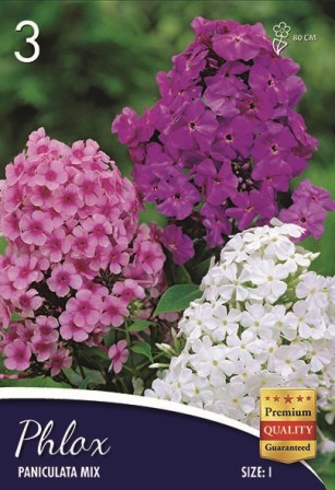 Флокс Panicuata mix (пакет)