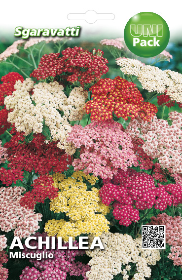 Равнец (Ахилеа)`SG