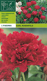 Божур Karl Rosenfeld (ароматен)
