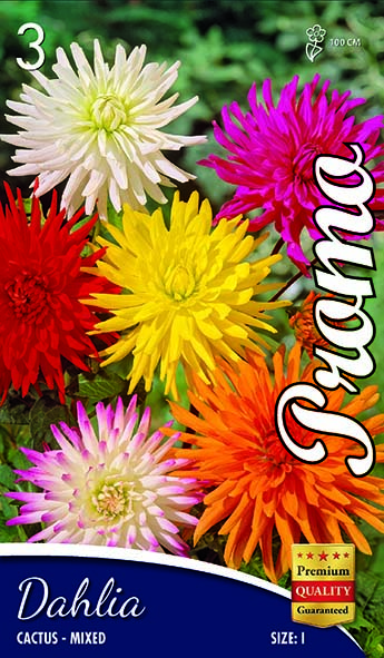 Далия Cactus Mix (3 корена)