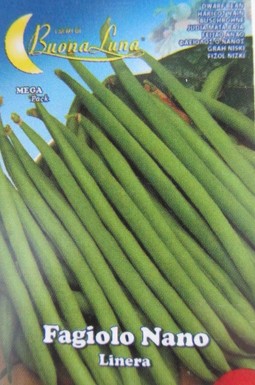 фасул Линера (зелен, кръгъл, нисък)