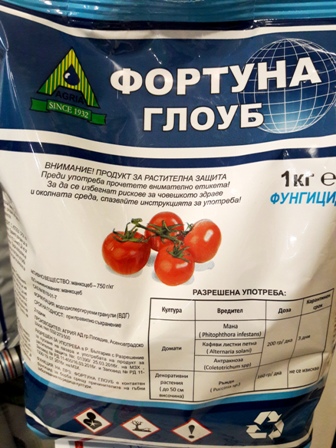 Фортуна Глоуб