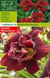 хамерокалис Double Red Royale (пакет)