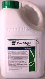 Тъчдаун