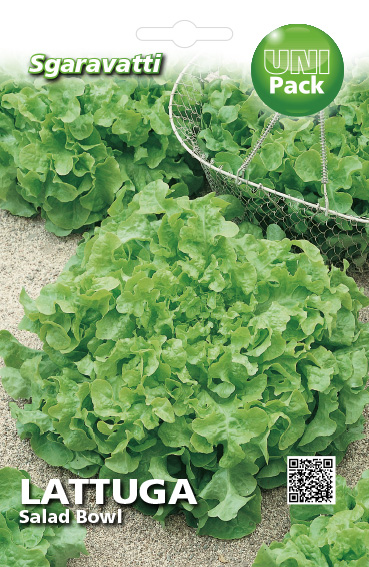 салата Salad Bowl`SG