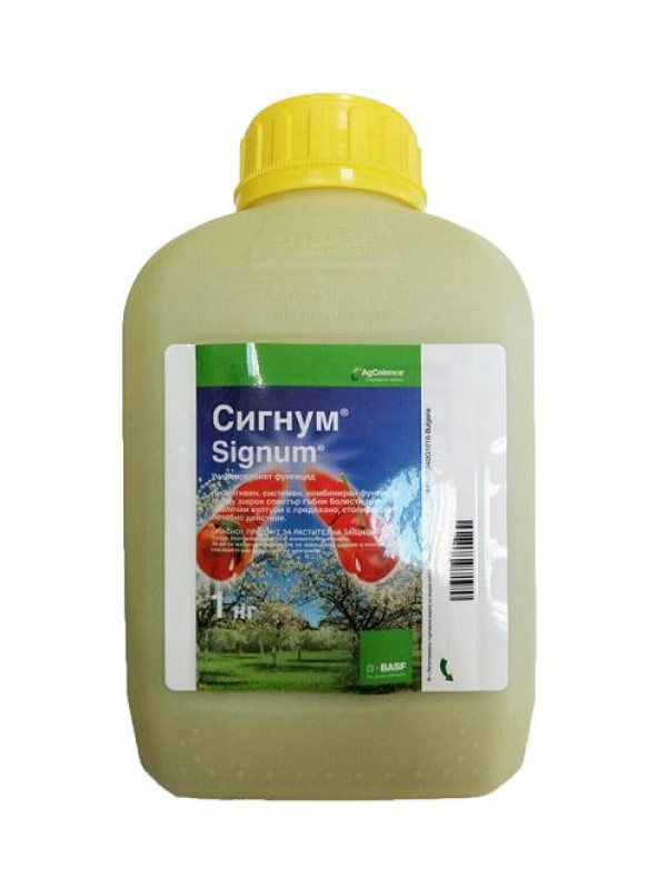 Сигнум