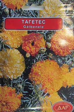 Тагетес кичест