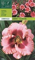 хeмерокалис Cherry Valentine (пакет)
