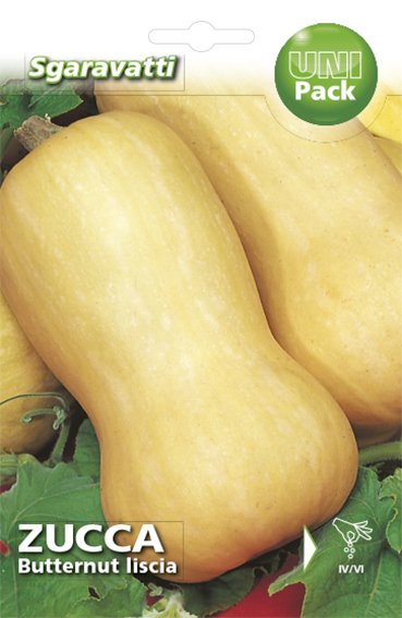 тиква Butternut Liscia`SG