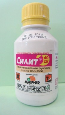 Силит 544 СК
