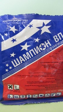 Шампион ВП