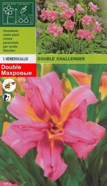 хамерокалис Double Challenger (пакет)