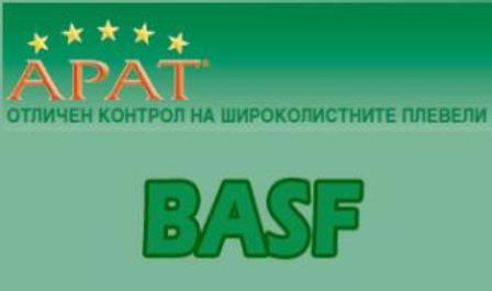 Арат
