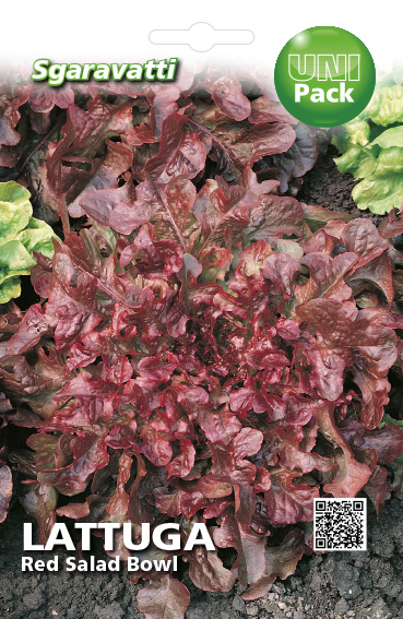 салата Red Salad Bowl`SG
