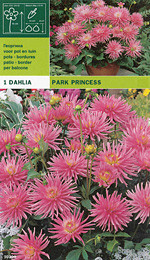 далия ниска Park Princess
