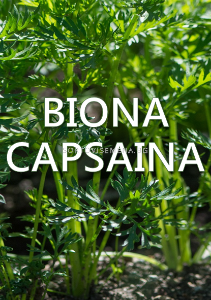 Biona Capsaina - Биона Капсаина (Capcum)