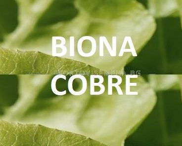 Biona Cobre - Биона Кобре