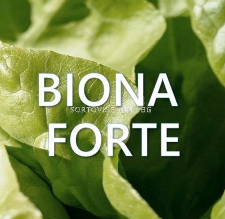 Biona Forte – Биона форте
