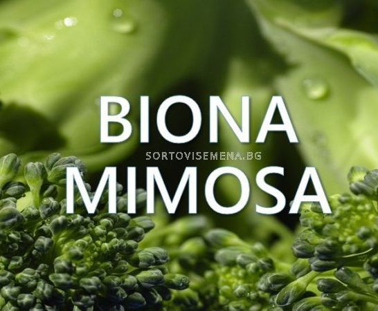 Biona Mimosa - Биона Мимоза