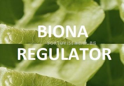 Biona Regulator – Биона Регулатор
