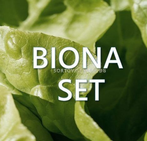 Biona Set - Биона Сет