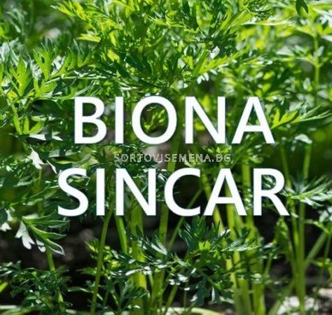 Biona Sincar - Биона Синкар