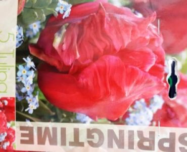 лале Marvel parrot 11/12 