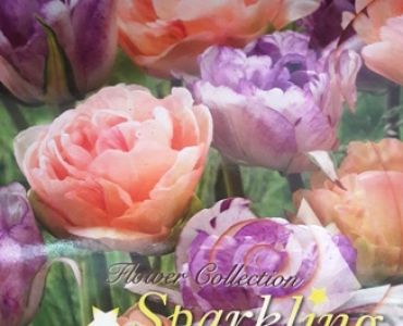Лалета Sparkling mix Charming Beauty & Shirley