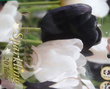 Лалета Sparkling микс Black and White