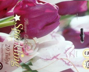 Лалета Sparkling микс Shirley & Negrita