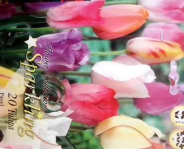 лалета Sparkling mix Triumph Pastel 10/11