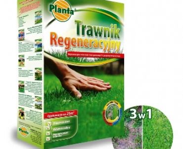 Тревна смес - Регенерираща