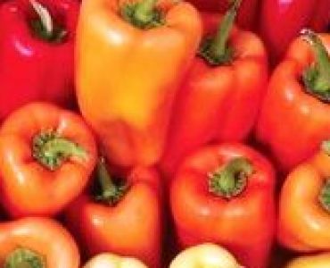 пипер Джипси F1