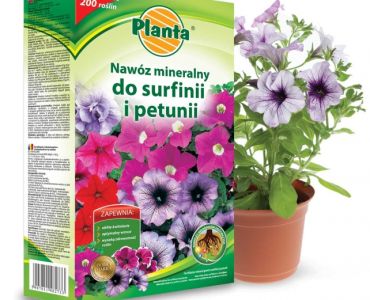 Тор за петунии и сурфинии Planta