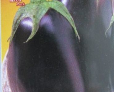 патладжан Боника F1