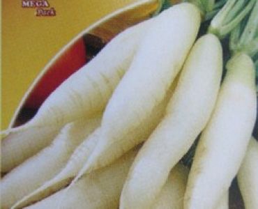 репички Бели дълги