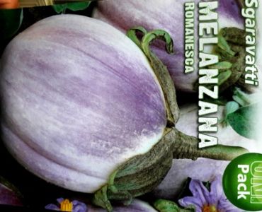 патладжан Кръгъл с Лилав оттенък 