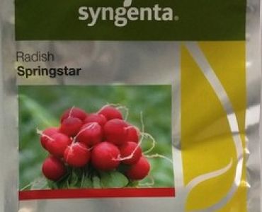 репички Спрингстар F1