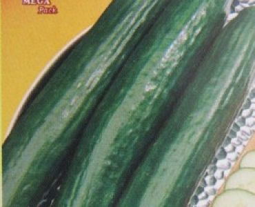 краставици - Градински дълги