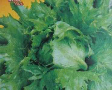 салата Regina dei Ghiacci