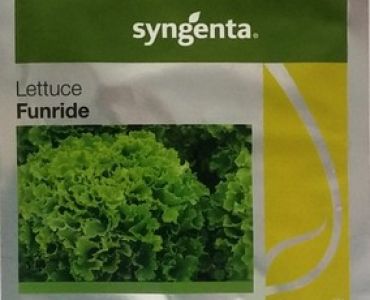 салата Фънрайд F1