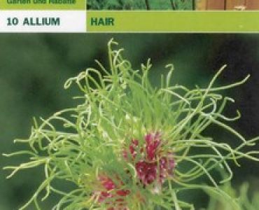 Декоративен лук (Allium Hair пакет)
