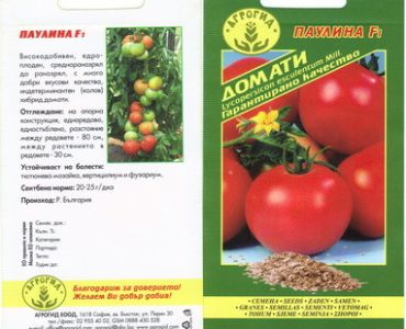домати Паулина  F1