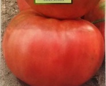 домати Розова Магия