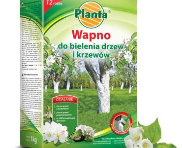 Вар Planta